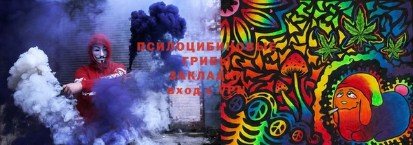 ПСИЛОЦИБИНОВЫЕ ГРИБЫ Покачи