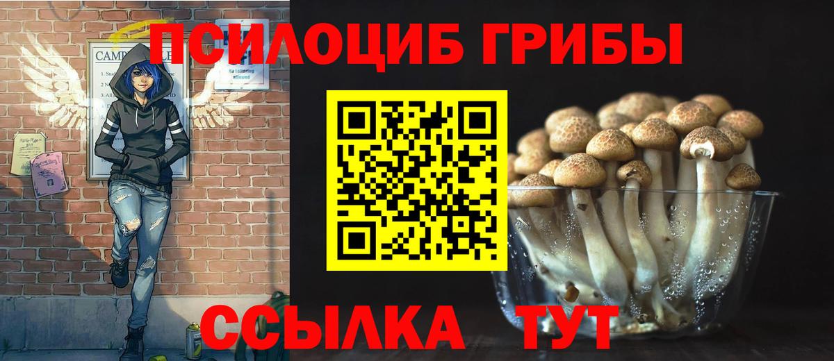 Галлюциногенные грибы Psilocybine cubensis  Вход с VPN  Реутов 