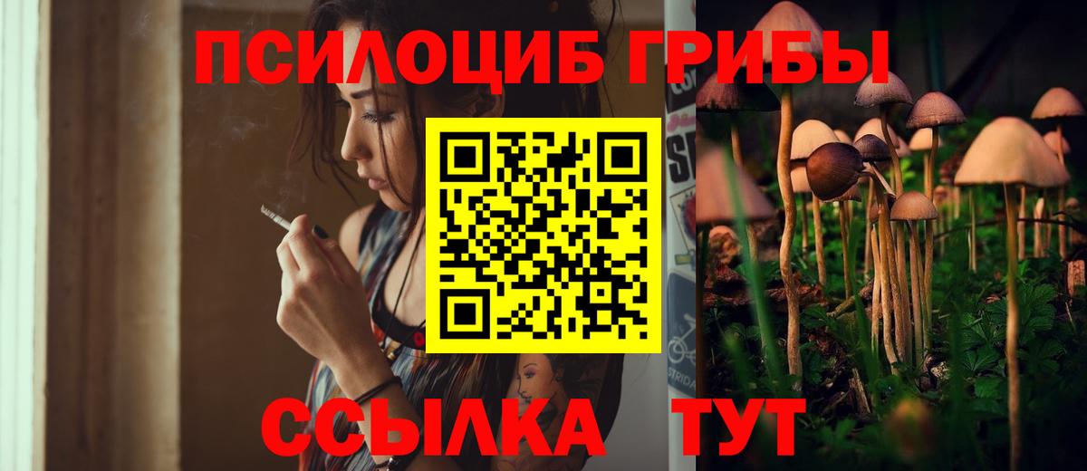 Галлюциногенные грибы Psilocybine cubensis Реутов